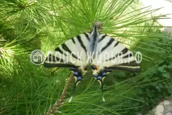 Гостевой дом «У моря», Береговое Гостевой дом «У моря», Береговое