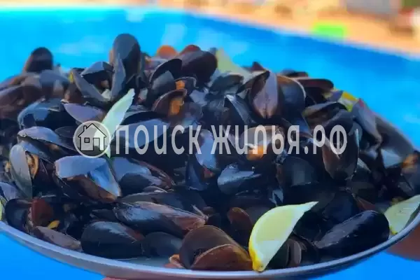 Гостевой дом «У моря», Береговое Гостевой дом «У моря», Береговое