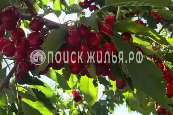 Гостевой дом «У моря», Береговое Гостевой дом «У моря», Береговое