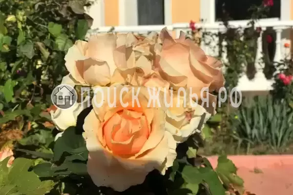 Гостевой дом «У моря», Береговое Гостевой дом «У моря», Береговое