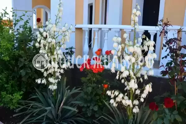 Гостевой дом «У моря», Береговое Гостевой дом «У моря», Береговое