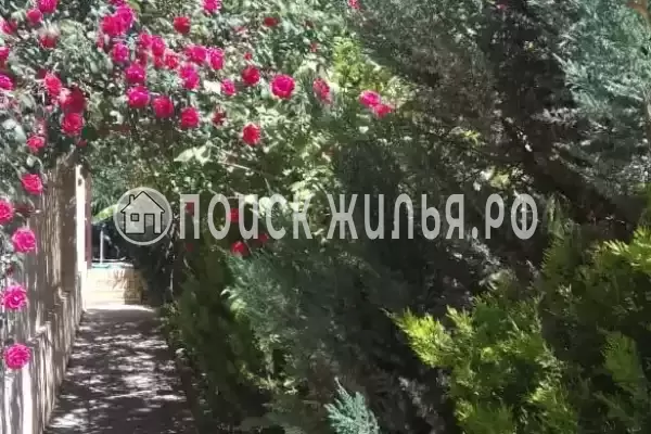 Гостевой дом «Уют», Адлер