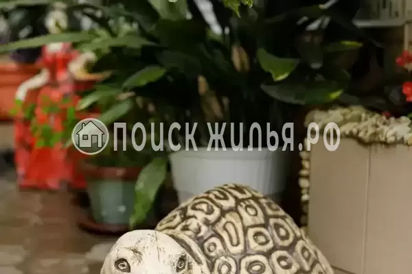 Частный сектор «Оазис», Джубга