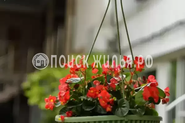 Частный сектор «Оазис», Джубга