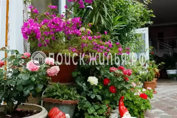 Частный сектор «Оазис», Джубга