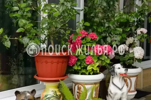 Частный сектор «Оазис», Джубга