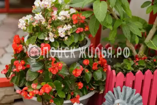 Частный сектор «Оазис», Джубга