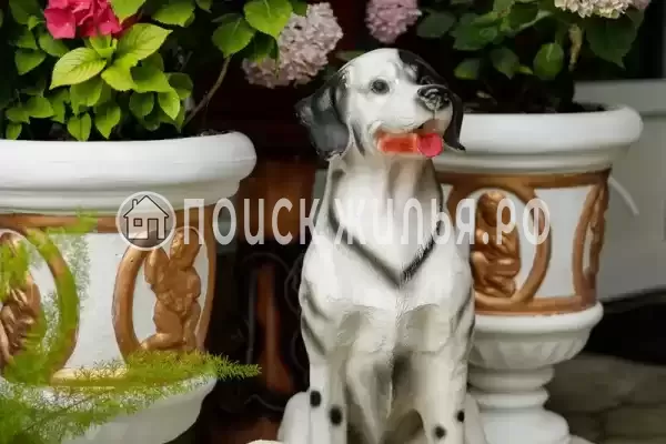 Частный сектор «Оазис», Джубга