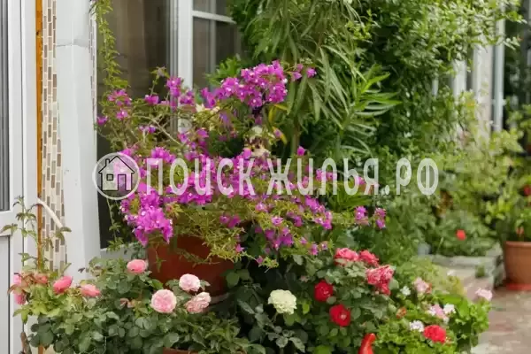 Частный сектор «Оазис», Джубга