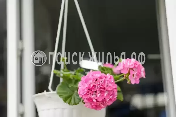 Частный сектор «Оазис», Джубга