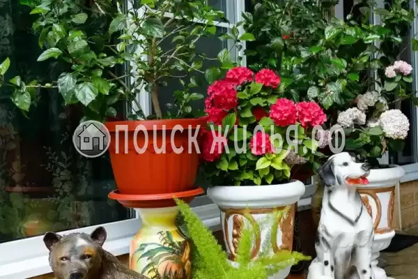 Частный сектор «Оазис», Джубга