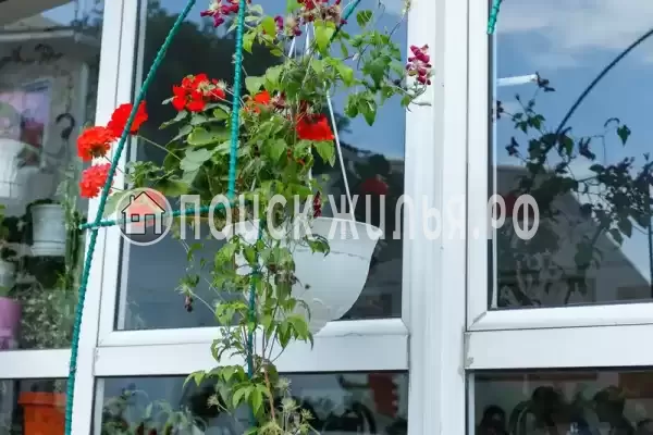 Частный сектор «Оазис», Джубга