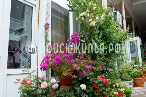 Частный сектор «Оазис», Джубга