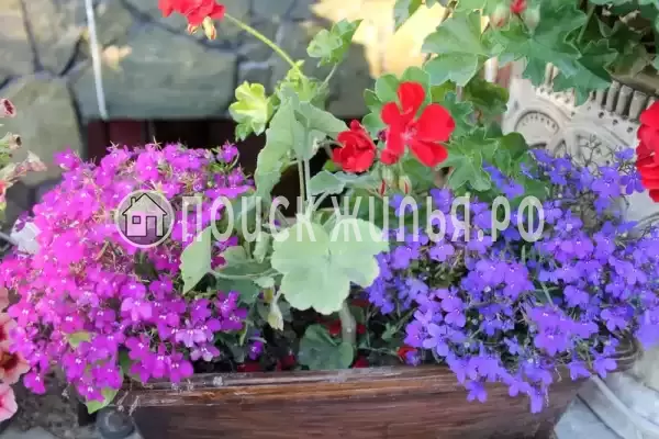 Частный сектор «Оазис», Джубга