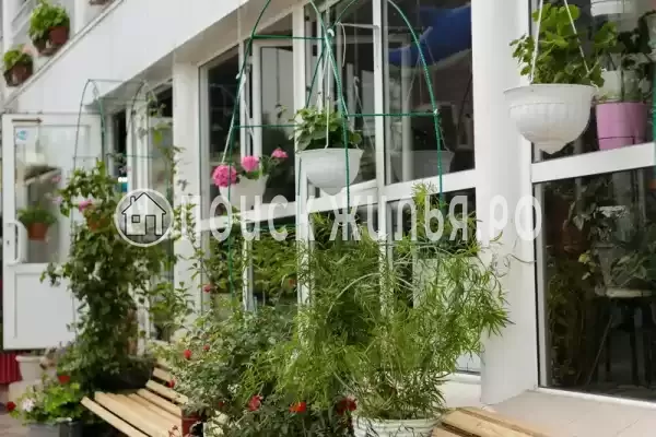 Частный сектор «Оазис», Джубга