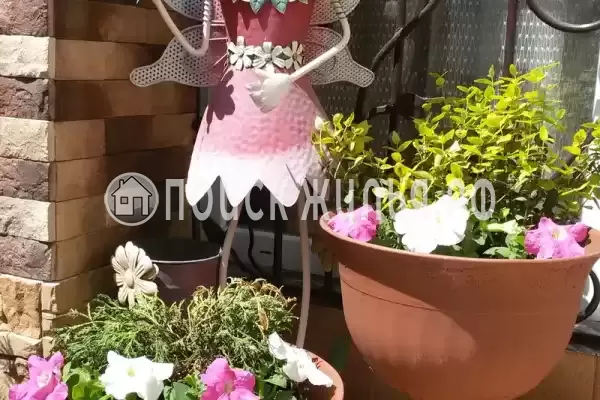 Гостевой дом «Белоснежка», Кабардинка