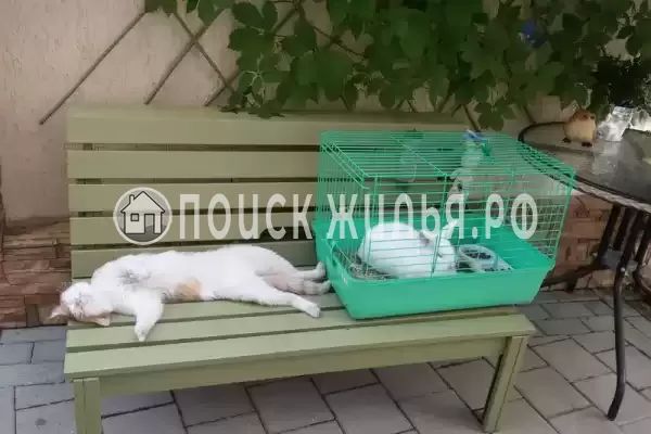 Гостевой дом «Белоснежка», Кабардинка