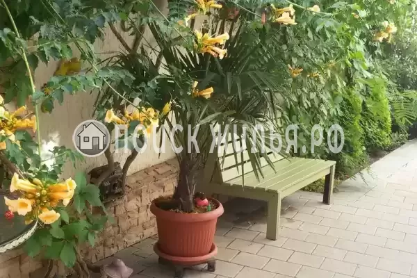 Гостевой дом «Белоснежка», Кабардинка