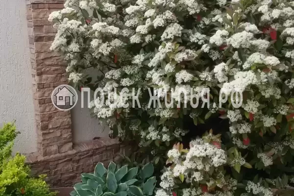 Гостевой дом «Белоснежка», Кабардинка