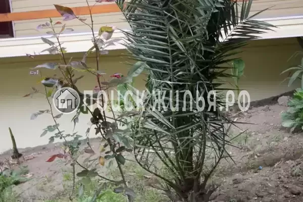 Частный сектор «Светлана», Волконка