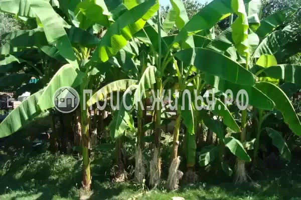 Частный сектор «Дворик детства», Лоо