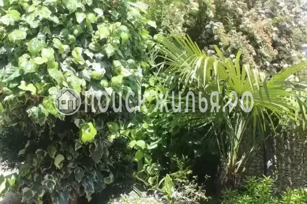 Частный сектор «На Грушевой», Лоо