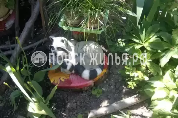 Гостевой дом «У Даши», Геленджик