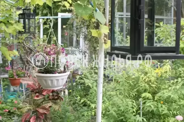 Гостевой дом «У Даши», Геленджик