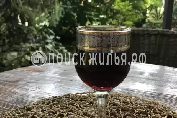 Гостевой дом «Sunrise», Гагра