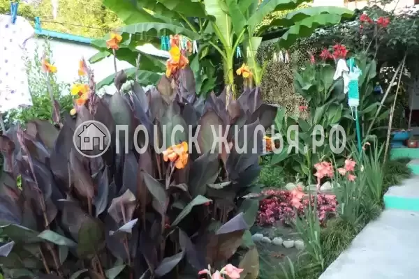 Частный сектор «Цветочный рай», Лоо