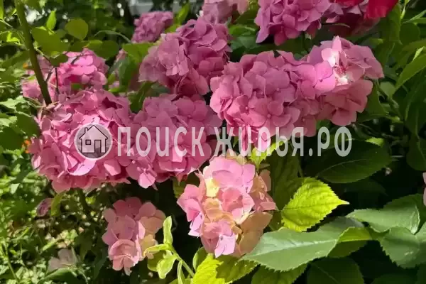 Частный сектор «София», Кабардинка