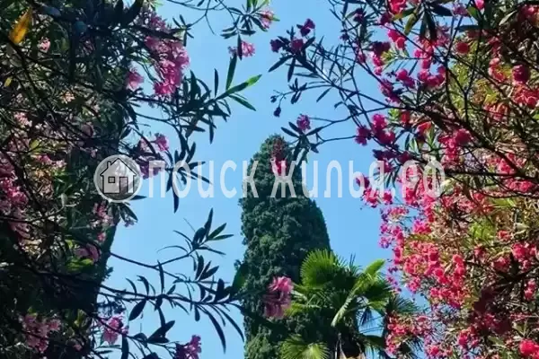 Частный сектор «Андрей», Хоста