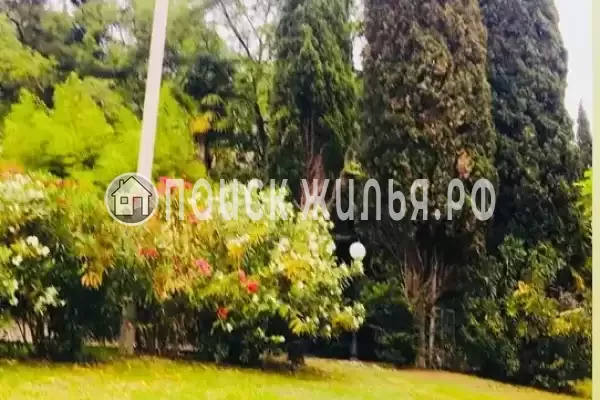 Частный сектор «Андрей», Хоста