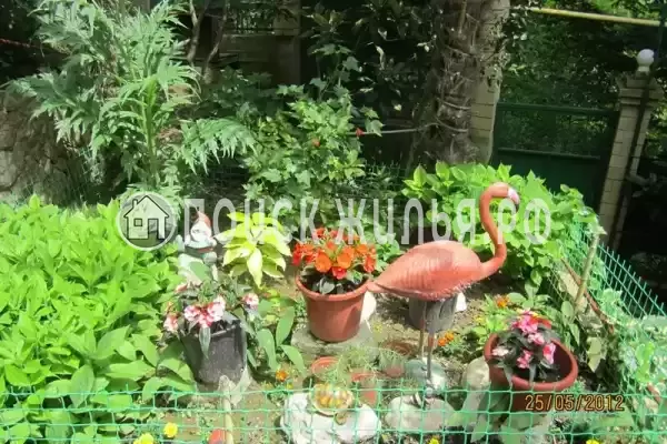 Частный сектор «Райский уголок», Хоста