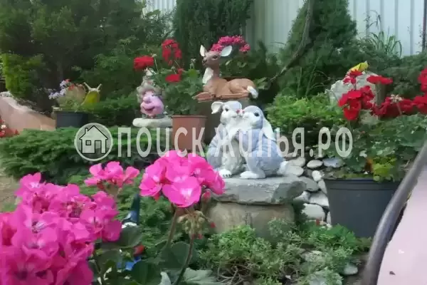 Частный сектор «Райский уголок», Хоста