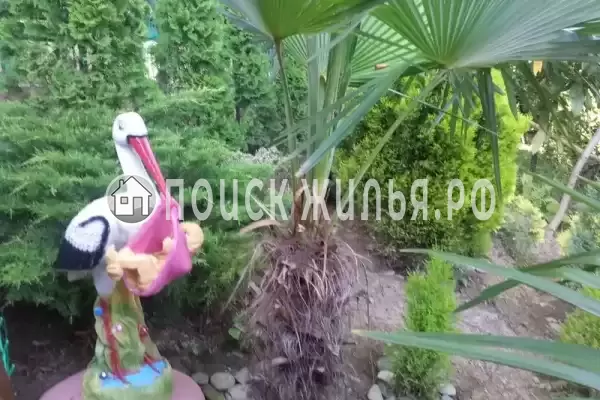 Частный сектор «Райский уголок», Хоста