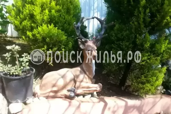 Частный сектор «Райский уголок», Хоста