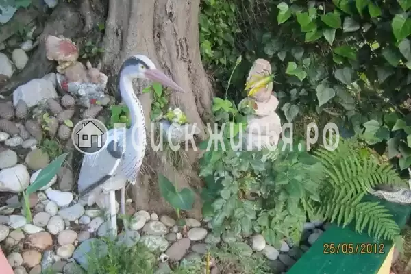 Частный сектор «Райский уголок», Хоста