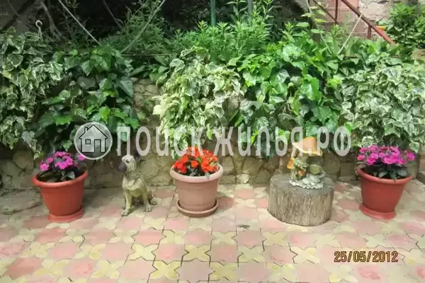 Частный сектор «Райский уголок», Хоста