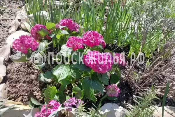 Дом под ключ «Гармония души», Дивноморское