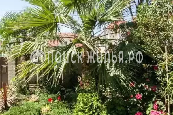 Частный сектор «Лилия», Адлер