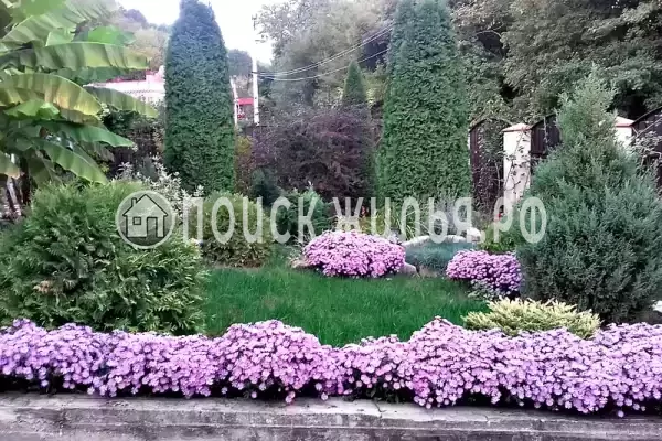 Частный сектор «Лесной», Бетта