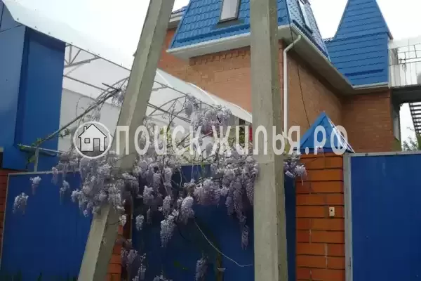 Частный сектор «Александр», Шепси