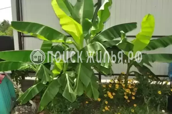 Частный сектор «Изабелла», Вишневка