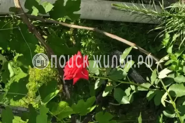 Частный сектор «Изабелла», Вишневка