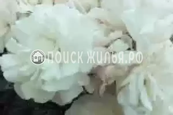 Частный сектор «Сирень», Пересыпь