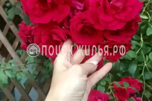 Частный сектор «Елена», Кабардинка Частный сектор «Елена», Кабардинка