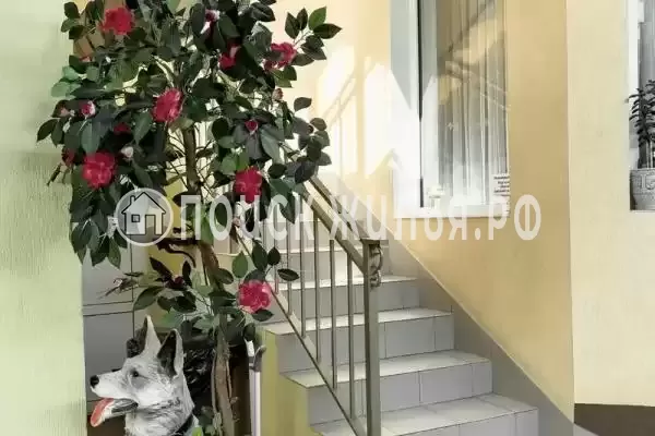 «Взлетный», Адлер