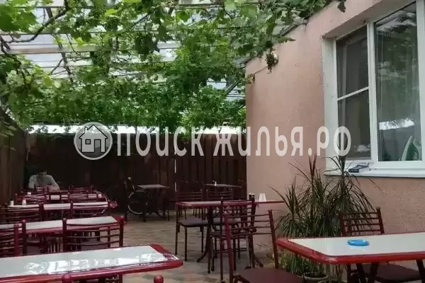 «Александрия», Кучугуры