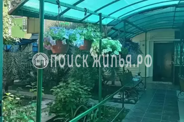 «Пальм бриз», Сириус